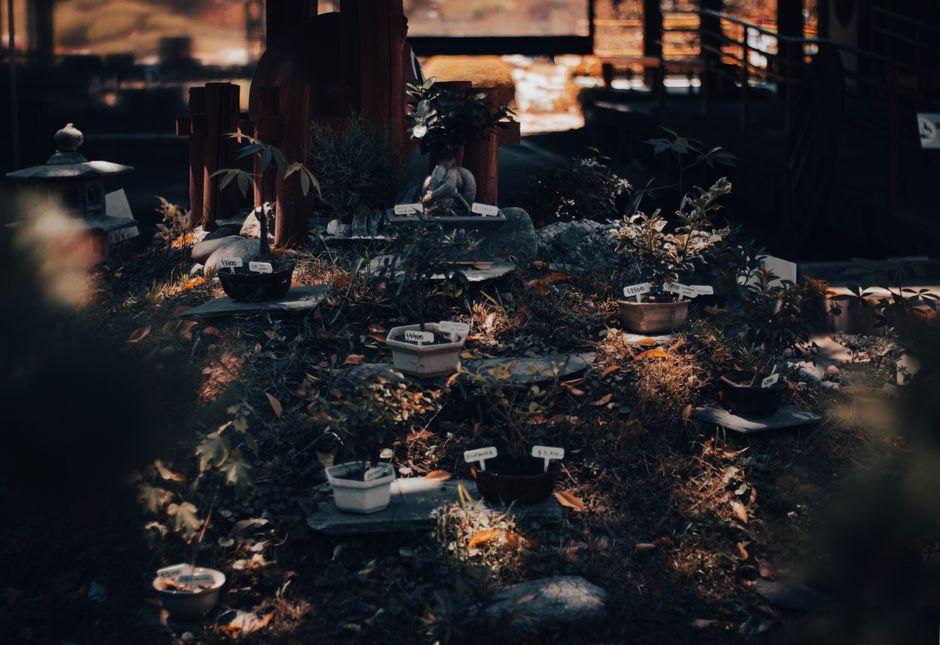 A Realistic Routine for Soils & Repotting Secrets That Fits a Busy Life