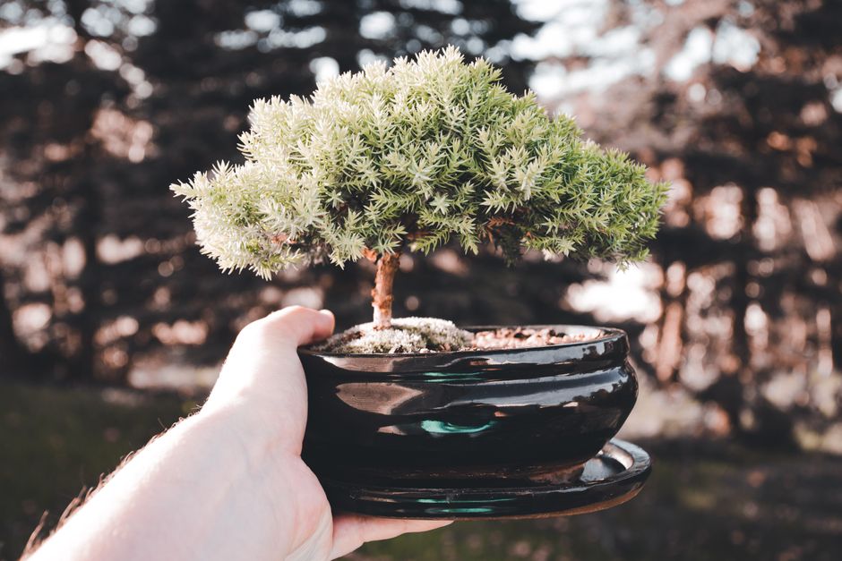 Common Myths About Seasonal Feeding & Defense I Stopped Believing