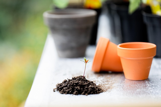 How Much Does Soils & Repotting Secrets Really Cost in 2026? Budget & Gear